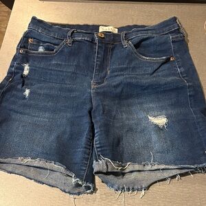 Casual Distressed Denim Shorts